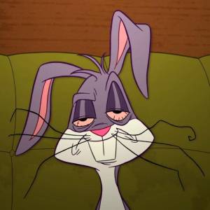 Bunny meme