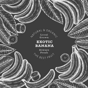 Ручной обращается эскиз стиля банана