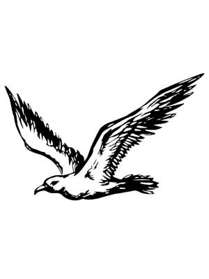 Трафареты Альбатроса