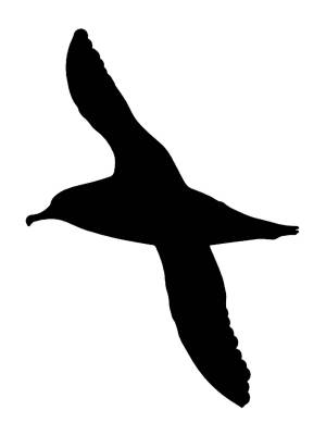 Трафареты Альбатроса