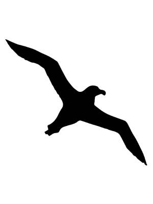 Трафареты Альбатроса