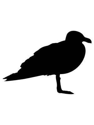 Трафареты Альбатроса