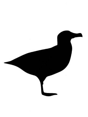 Трафареты Альбатроса