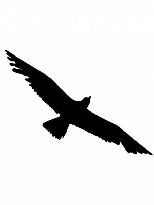 Трафареты Альбатроса