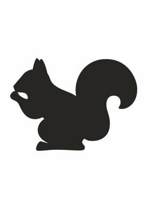 Трафареты Белки