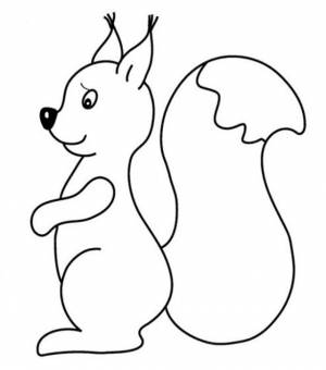 Аппликация белка