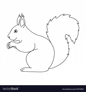 Белка трафарет для рисования