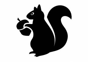 Трафареты Белки