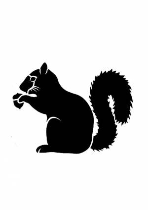 Трафареты Белки