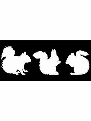 Трафареты Белки