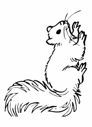 Трафареты новогодняя белочка