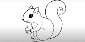 Как нарисовать милую белку карандашами, фломастерами и не только