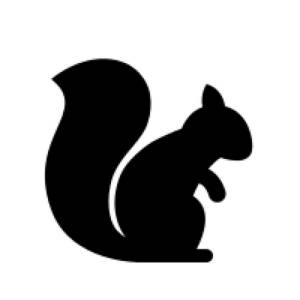 Трафареты на окно белка