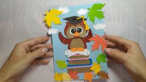 Сова шаблоны