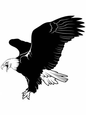 Трафареты Белоголового орлана