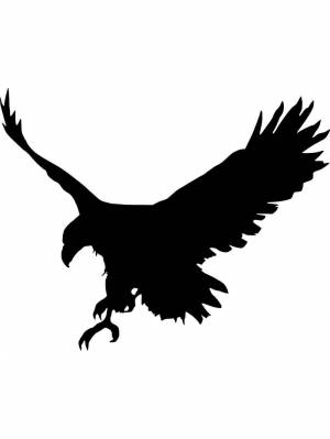 Трафареты Белоголового орлана