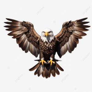 Белоголовый орлан летит изолированно на белом фоне 3d иллюстрация PNG , белоголовый орлан летит изолированно, на белом фоне, 3д иллюстрация PNG рисунок для й загрузки