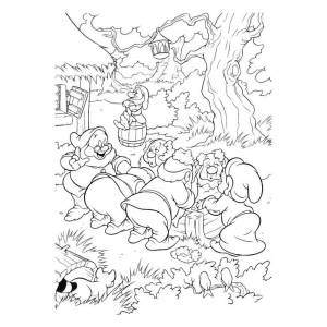 Белоснежка и Гномы раскраска для детей
