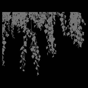 Трафарет Повислая береза