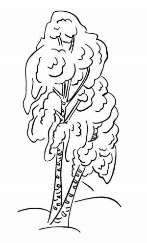 Трафареты береза флаг