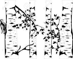 Трафарет березы