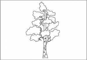 Трафареты береза флаг