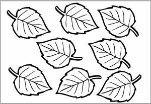Шаблон листьев березы