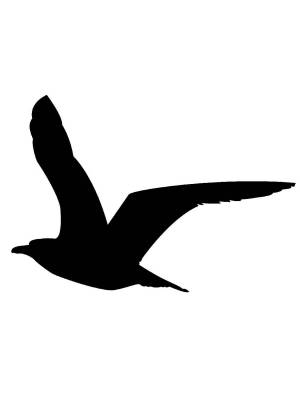 Трафареты Чайки