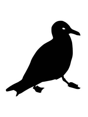 Трафареты Чайки