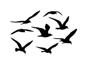 Трафареты Чайки
