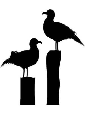 Трафареты Альбатроса для вырезания из бумаги