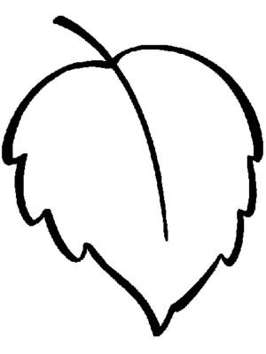 Раскраски Лист березы