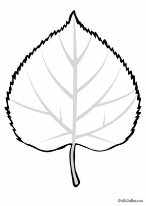Березовый лист рисунок