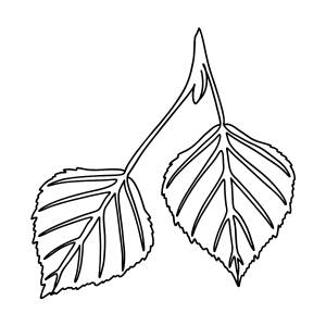 DataLife Engine > Версия для печати > Березовый лист трафарет