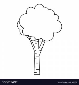 Березка шаблон