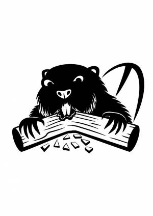 Трафареты Бобра