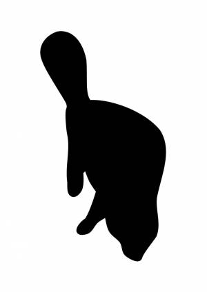 Трафареты Бобра