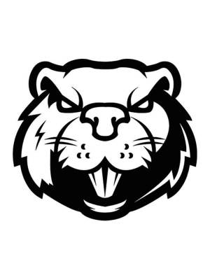 Трафареты Бобра