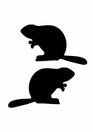 Трафареты Бобра