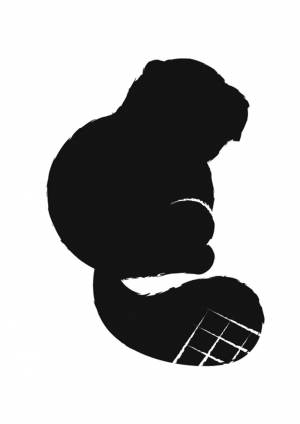 Трафареты Бобра