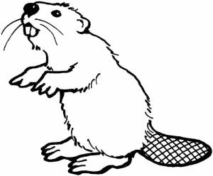 Бобер трафарет