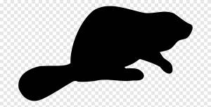 Силуэт бобра, бобра, млекопитающее, животные png