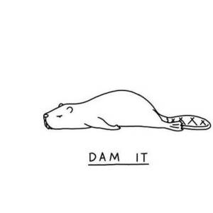 Эскиз бобра