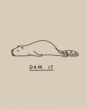 Бобер трафарет