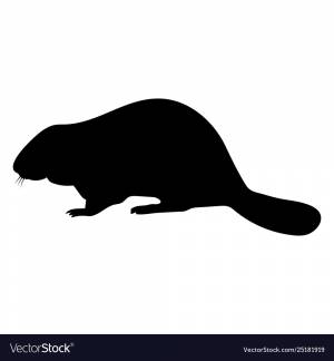 Трафарет бобра