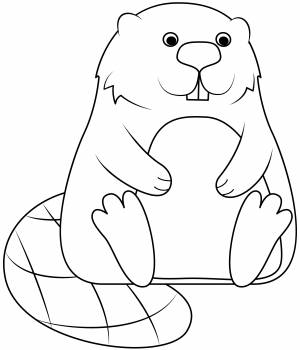 Шаблон для печати бобра