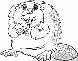Раскраски Бобр