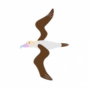 Карикатурная иллюстрация полета птицы-альбатроса из антарктиды, лучшая для логотипа, значка и наклейки