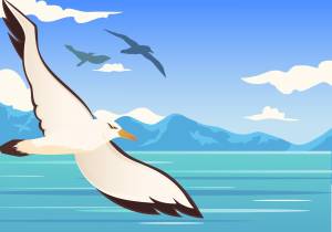 Альбатрос рисунок