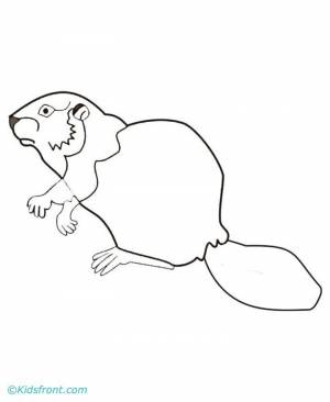 Трафарет бобра для рисования